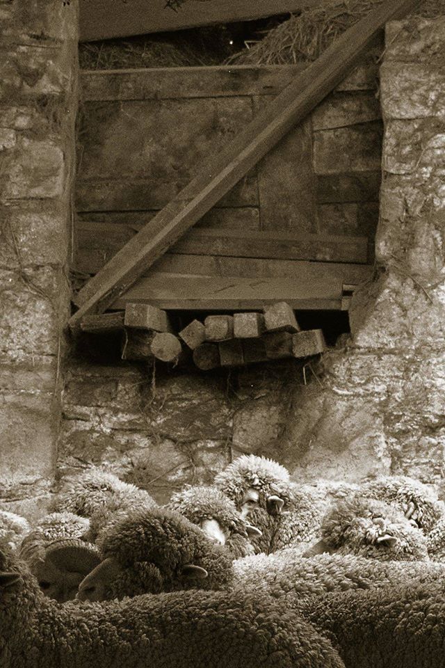 dgrie man promotion dgrie 24