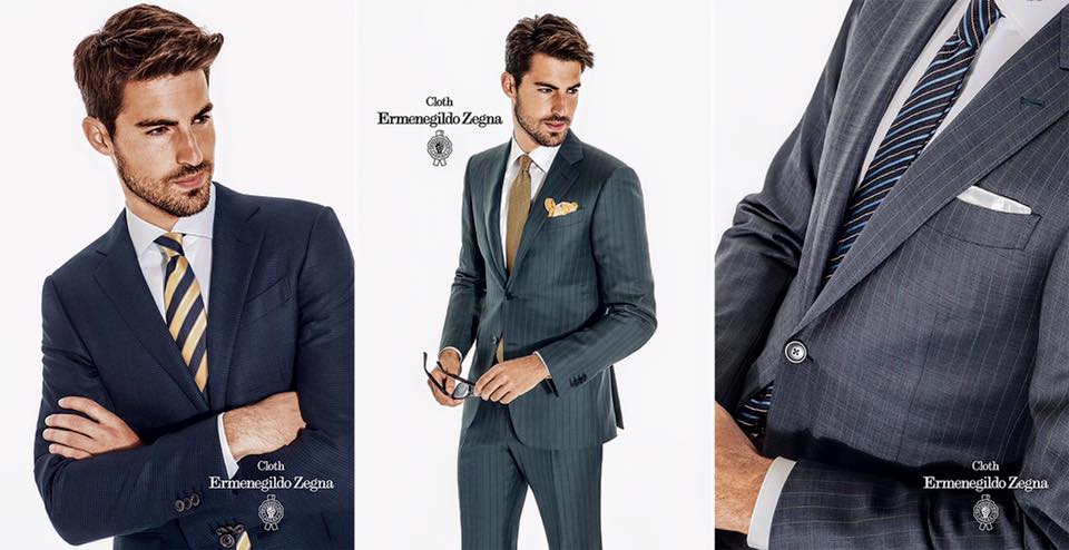 ermenegildo zegna fabric dgrie 33