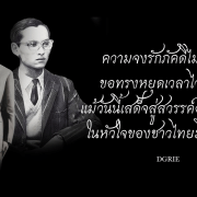 forever in our hearts dgrie