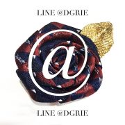 update line id dgrie