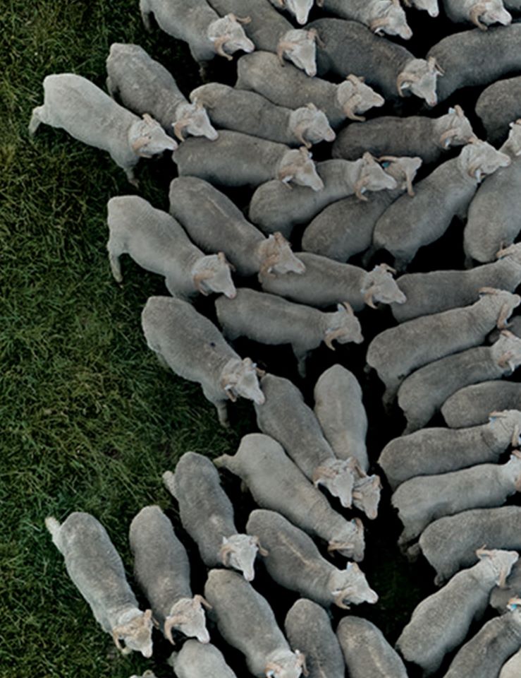 ermenegildo zegna wool sale 30 off till end of april 2020 dgrie 3