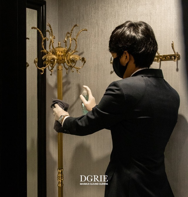 dgrie big cleaning dgrie 12