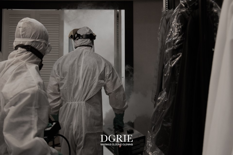 dgrie big cleaning dgrie 13