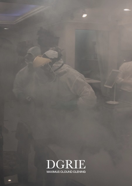 dgrie big cleaning dgrie 3