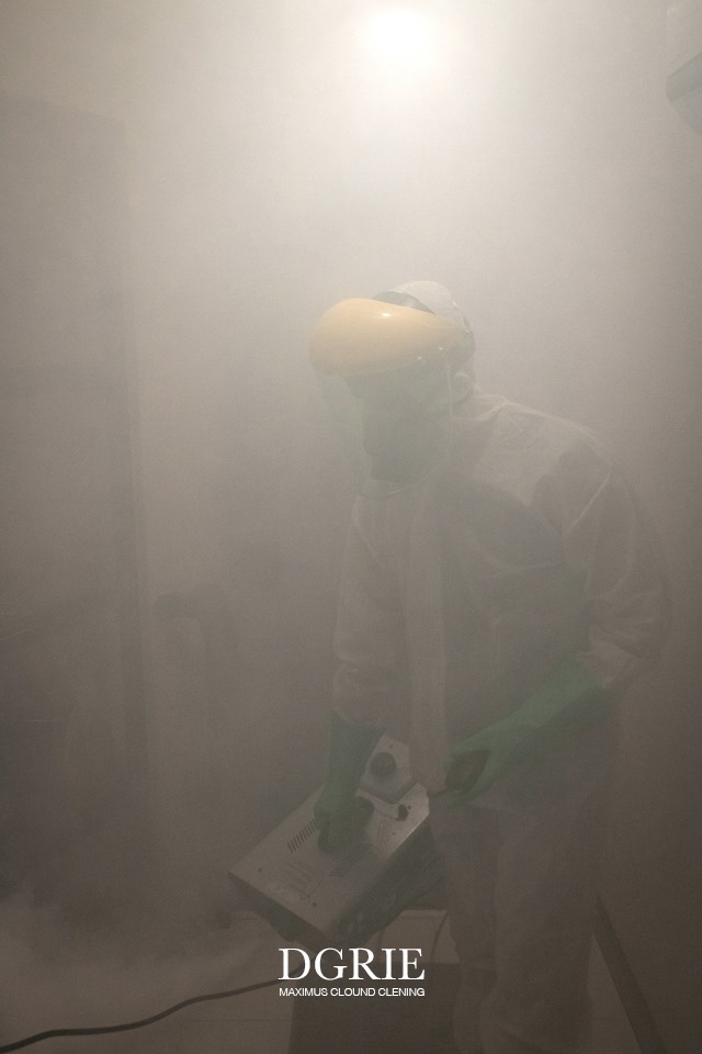 dgrie big cleaning dgrie 6