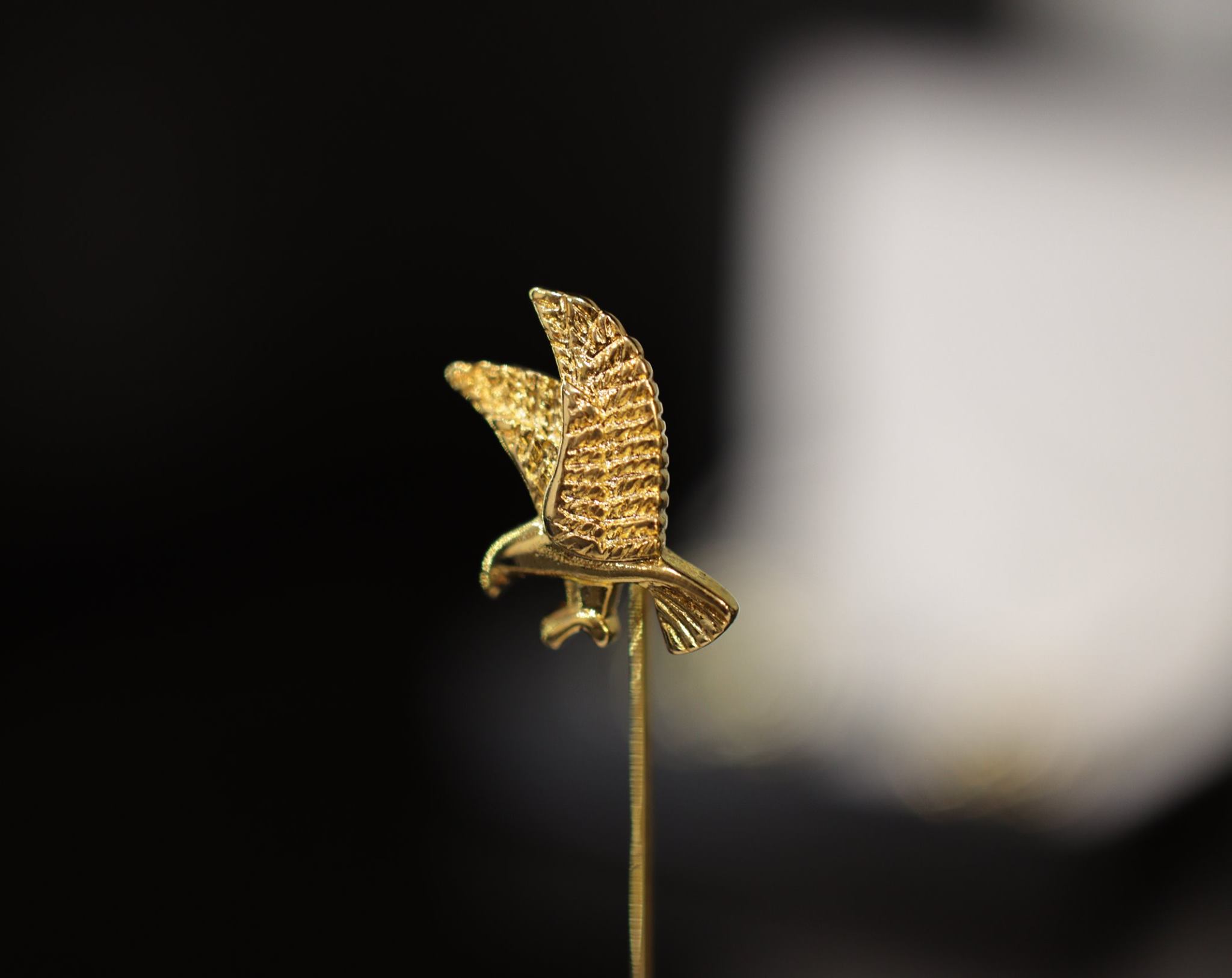 dgrie summers favorite pants dgrie dgrie summers favorite pants dgrie