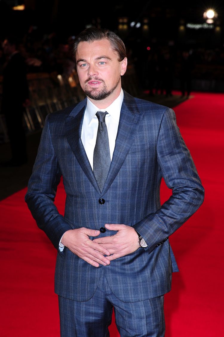 leonardo dicaprio 90s dgrie 10