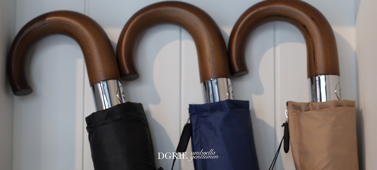 navy blue pinstripe umbrella dgrie 1