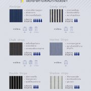 6 pin striped style 6 dgrie