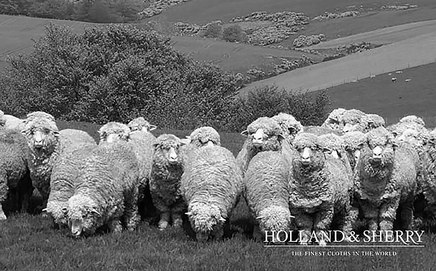 holland sherry 1836 holland dgrie 1