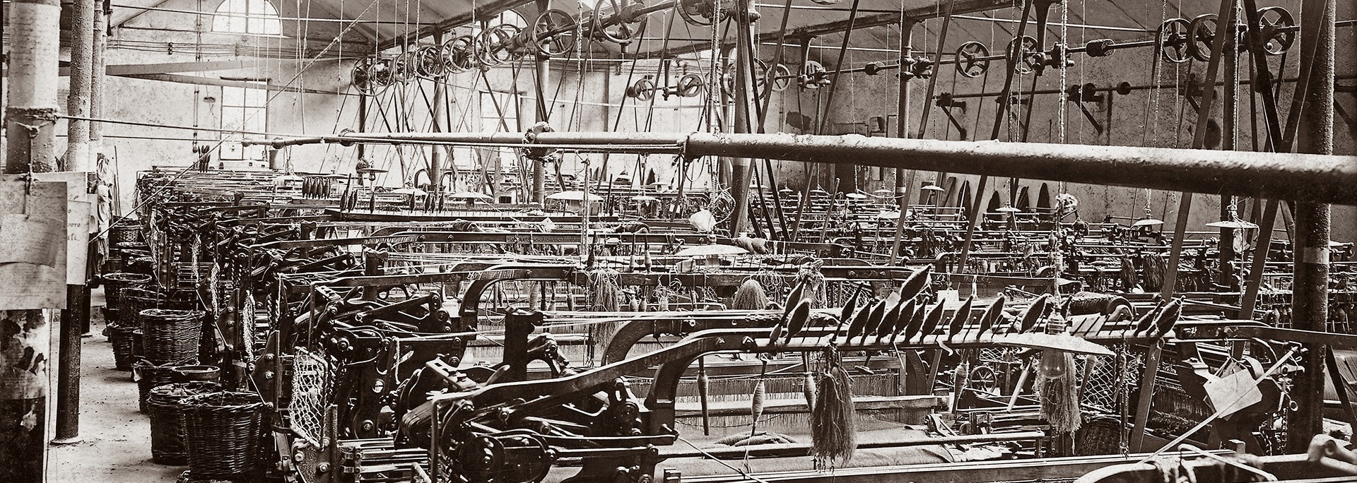 vitale barberis canonico dgrie 4