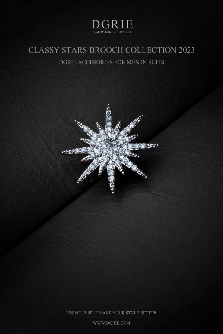 เข็มกลัดดาวกระจาย DGRIE Victorian Classic silver sparkle brooch 1 dgrie victorian classic silver sparkle brooch dgrie