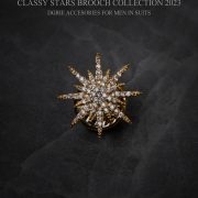 dgrie victorian diamond starburst brooch dgrie
