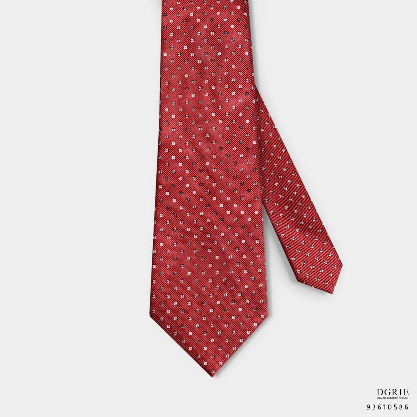 เนคไท Neckties and Pocket Squares Caremony Combination - DGRIE