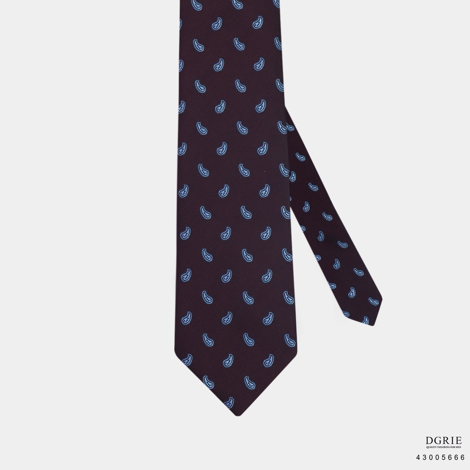 IMG_0334 เนคไทลายเพสลีย์ 100% SILK PAISLEY TIE - DGRIE