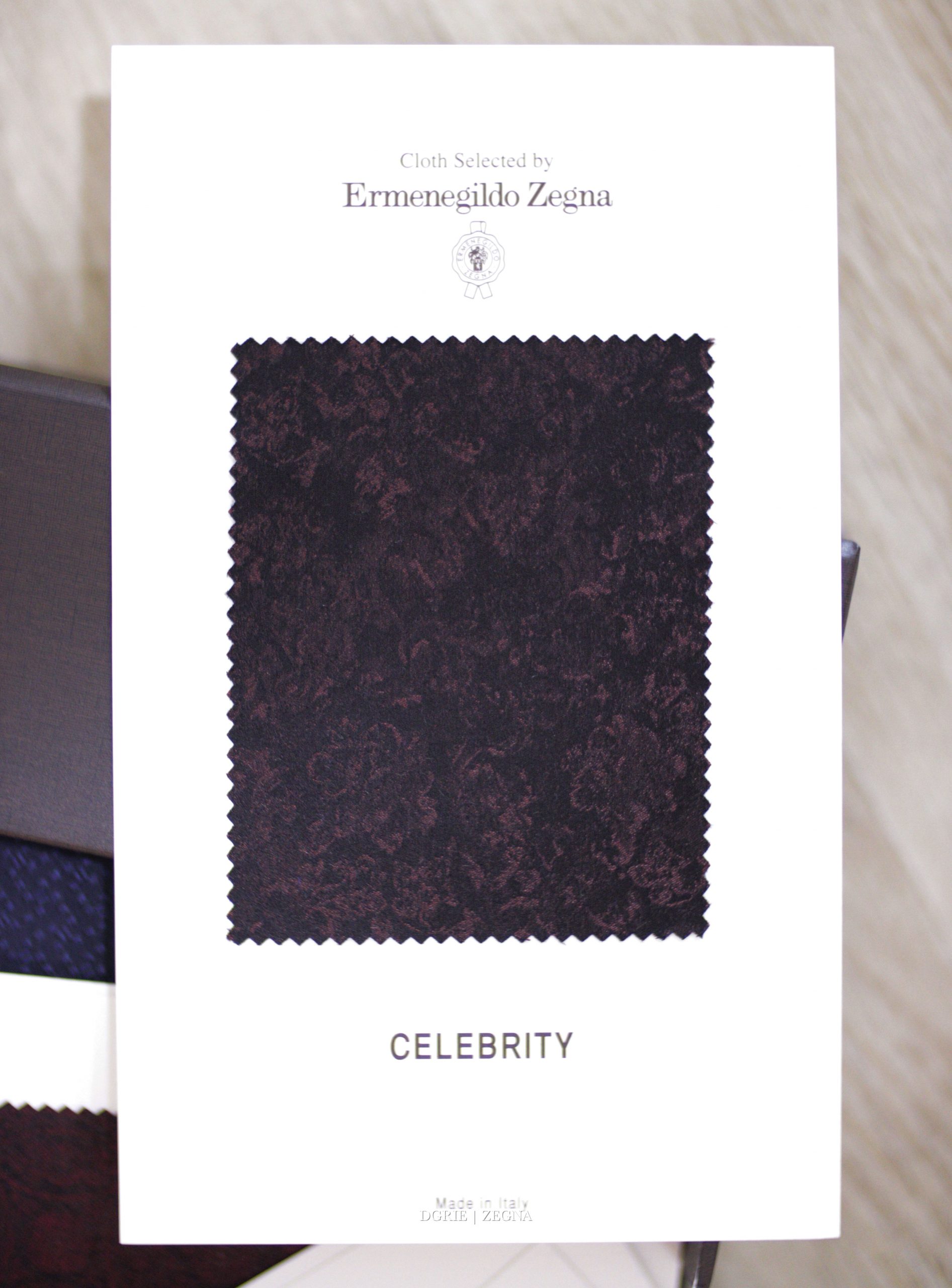 DGRIE | Ermenegildo Zegna 2025