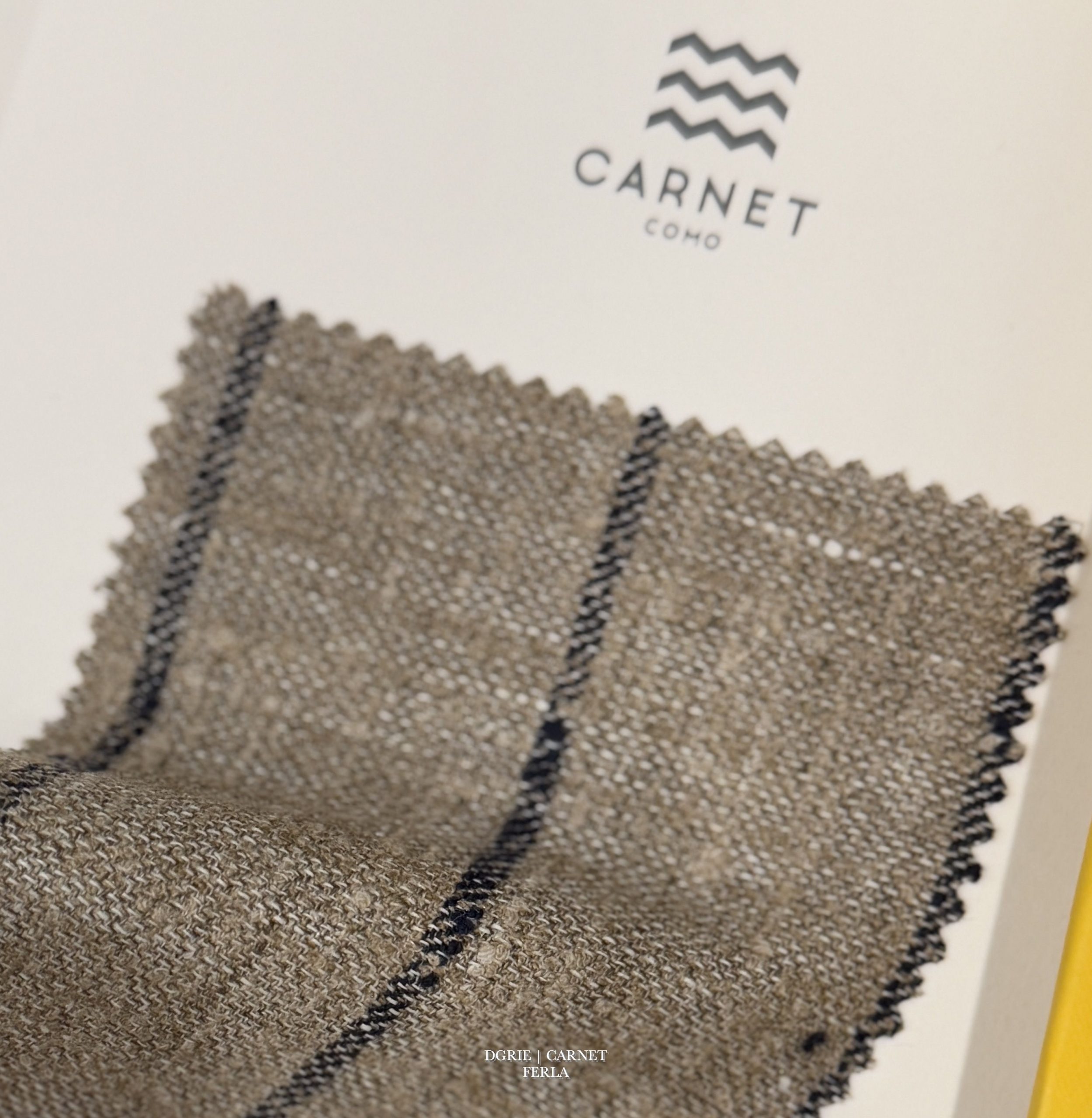 IMG_2549_result DGRIE - ตัดสูทผ้า Carnet Ferla summer