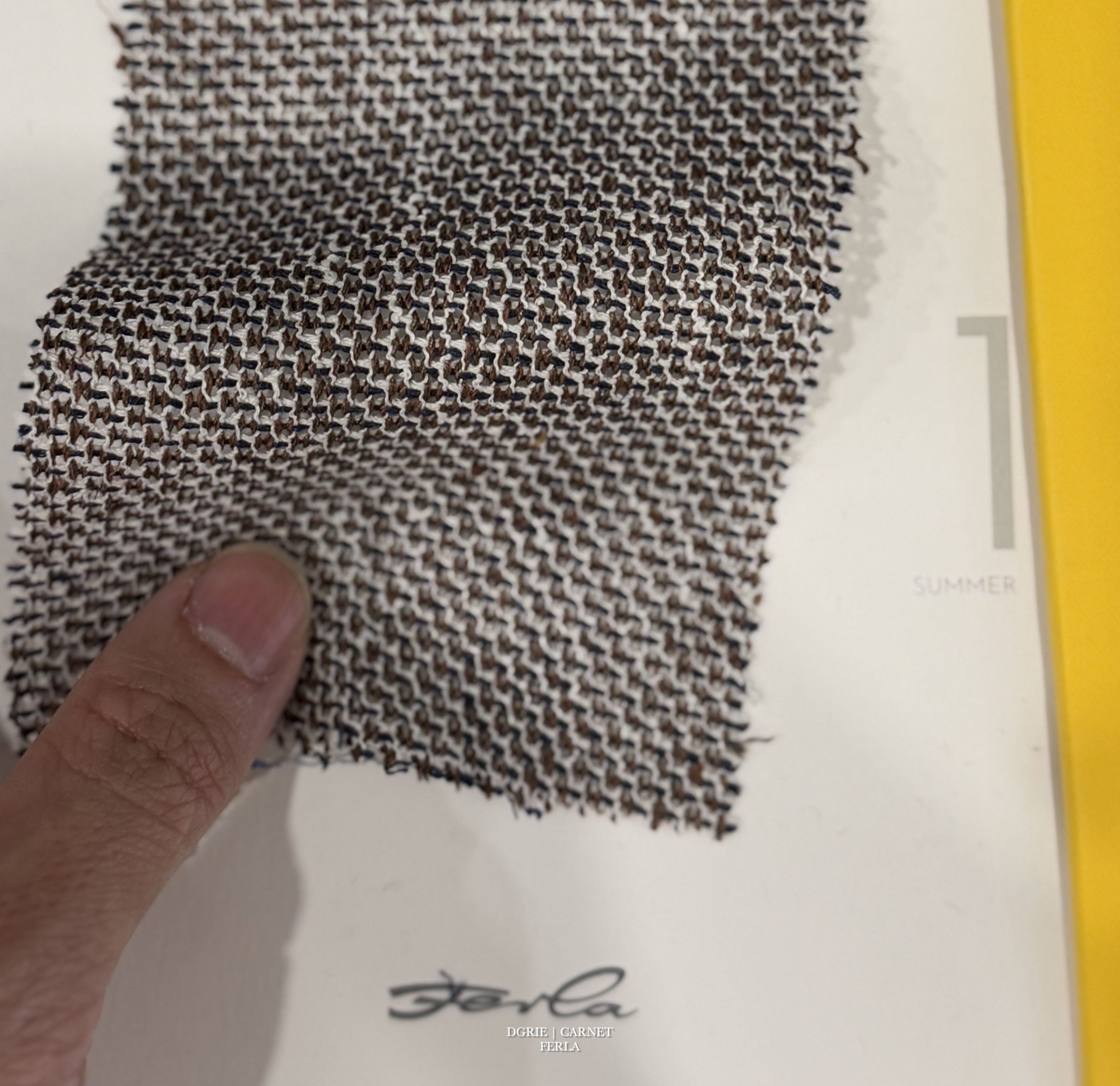 DGRIE - ตัดสูทผ้า Carnet Ferla summer