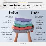 DGRIE - ซักเปียก - ซักแห้ง อะไรคือความต่าง