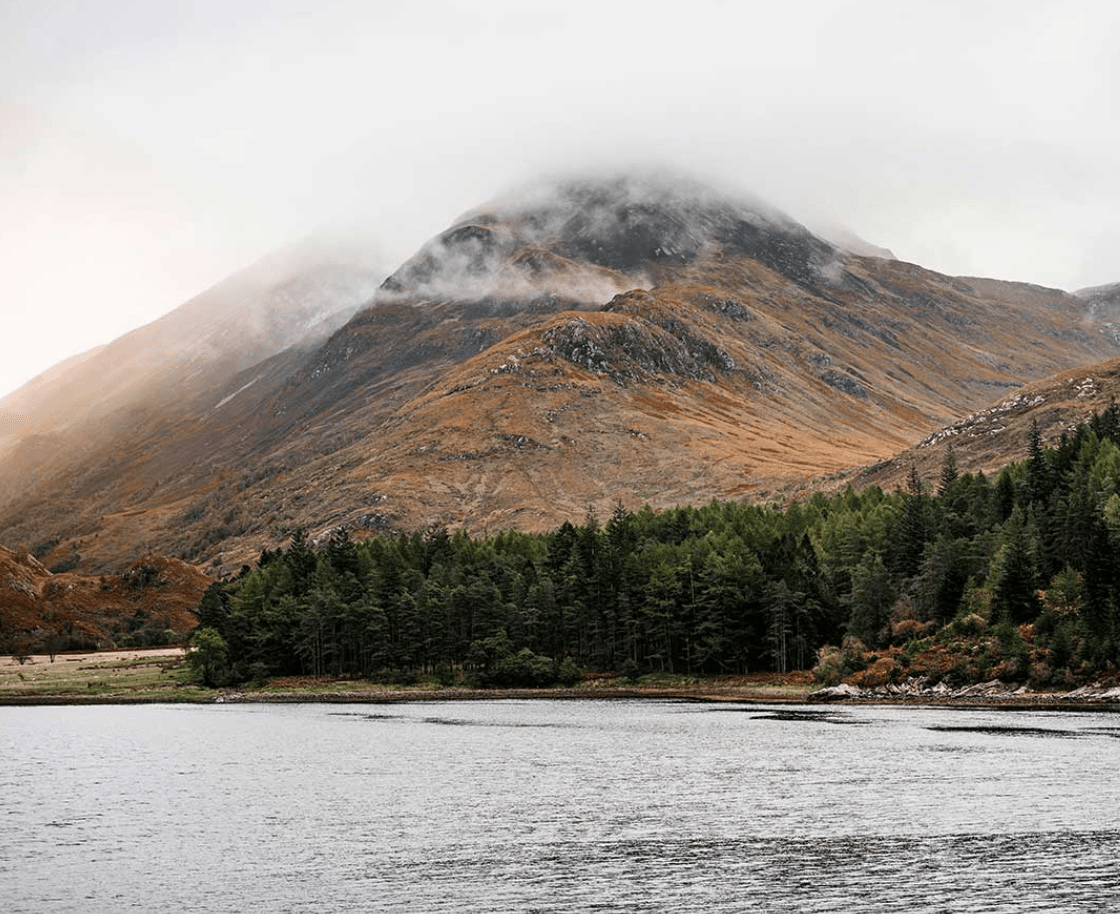 Holland & Sherry MOORLAND TWEEDS Suits