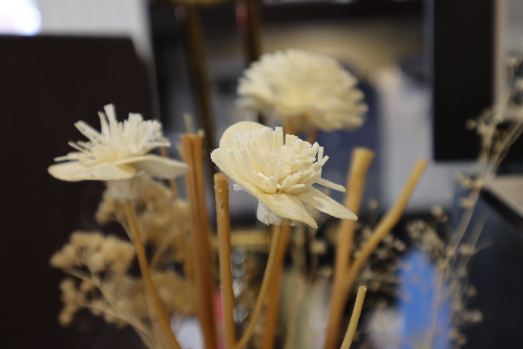 dgrie 2020 every moment is a fresh beginning dgrie 7