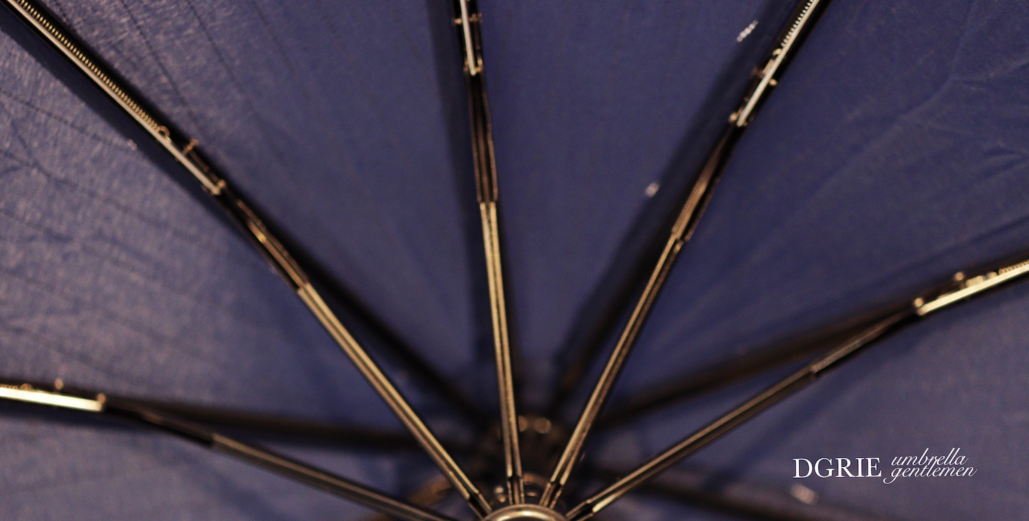 navy blue pinstripe umbrella dgrie 4