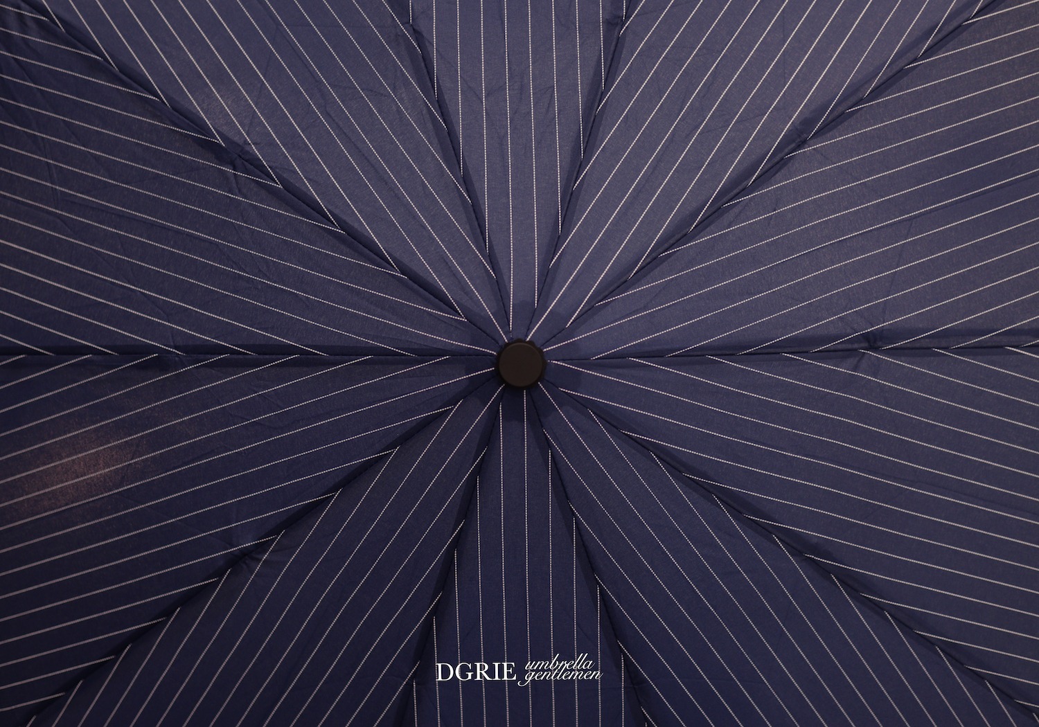 navy blue pinstripe umbrella dgrie 5