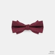 Imported Merlot Red Silk Bowtie - DGRIE
