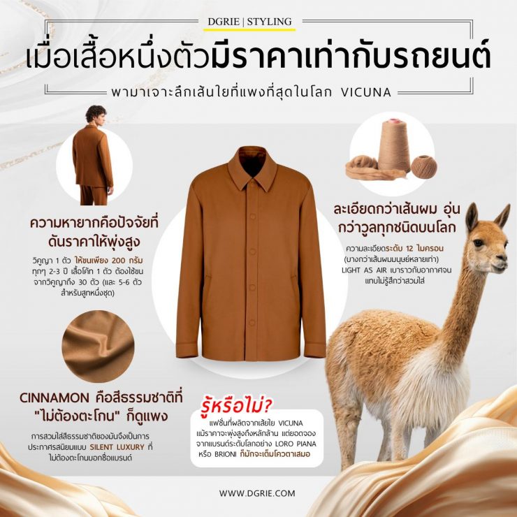 Vicuna: When a single garment costs as much as a car.
