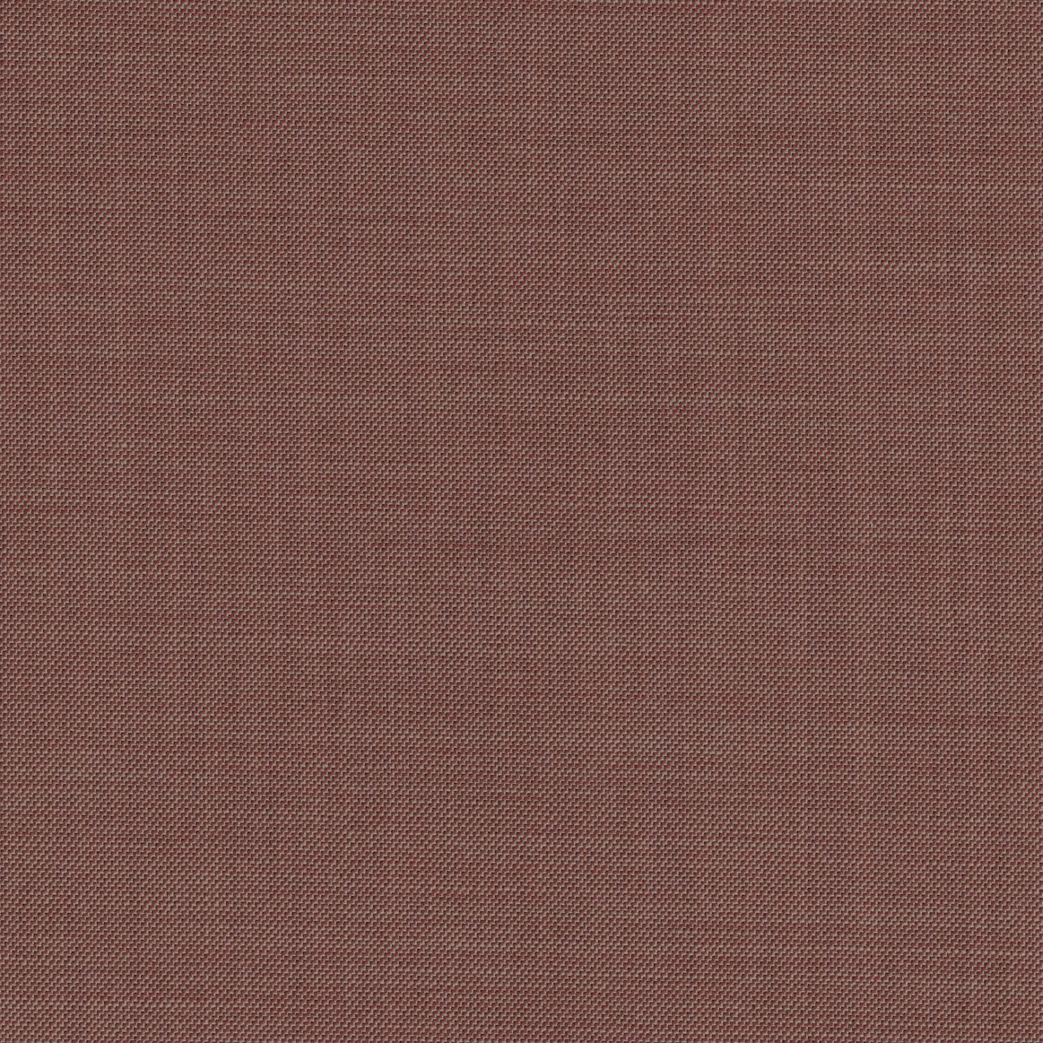 Brown 707037 - Wool Stretch Pants