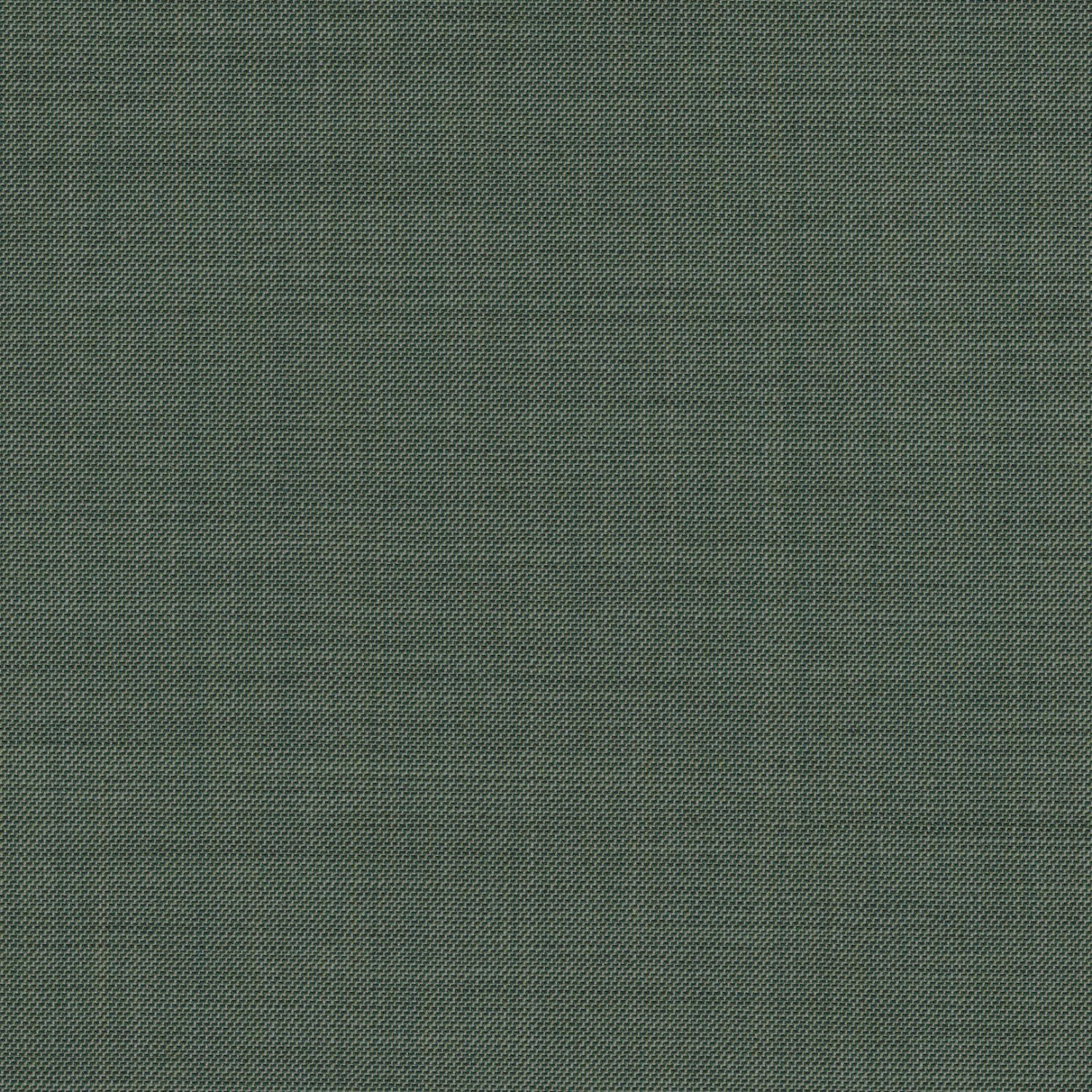 Green 707039 - Wool Stretch Pants