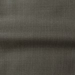 Smart Brown Suit