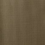 Light Beige Brown Suit