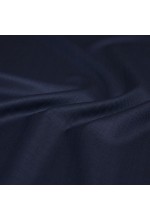 Tex Smart Navy Pants