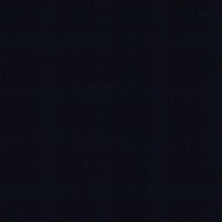 Blue 21169-2 - 100% Wool Pants