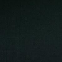Green 707015 - Wool Stretch Pants