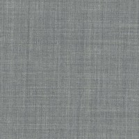 Grey carli-77 - Wool Stretch Pants