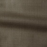 Wood Brown Suit