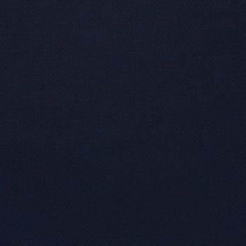 Navy Blue Textured Pants
