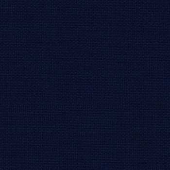 Blue 25013-35 - Hopsack Wool Suit