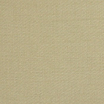 Tortilla Twill Pants