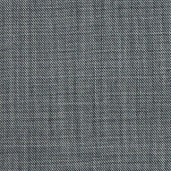 Fossil Sharkskin Pants