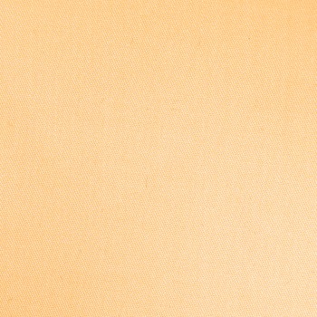 Plain Twill Cantaloupe Shirt