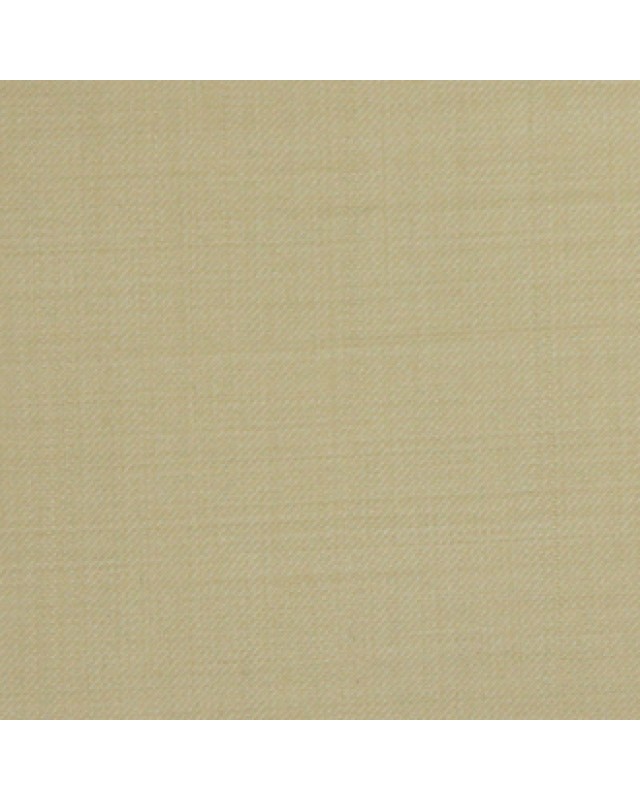 Tortilla Twill Pants