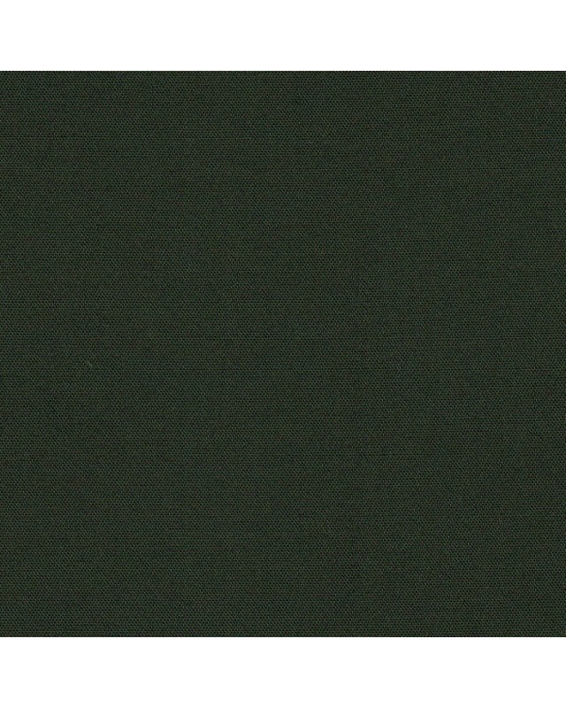 Green CT777-49 - 100% Pure Cotton Stretch Pants