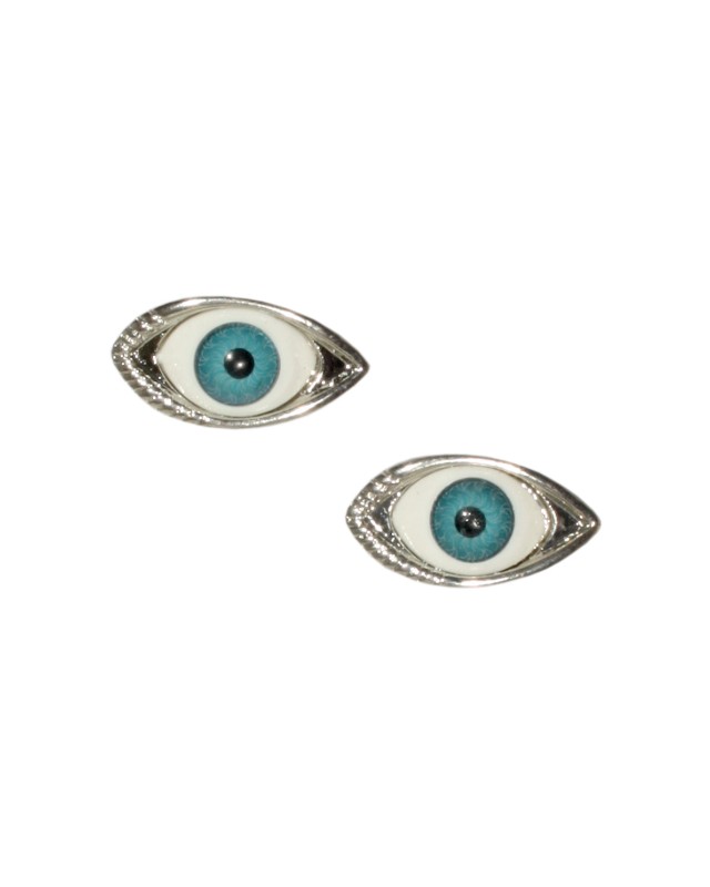 The Little silver eyes