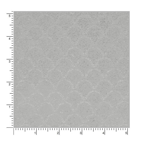 Grey 21163-3 - 100% Wool Pants