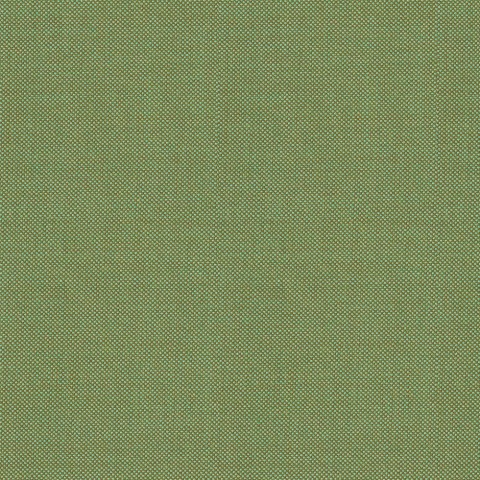 Green 212636 - 100% Wool Pants