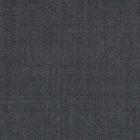Davy Grays Twill Pants