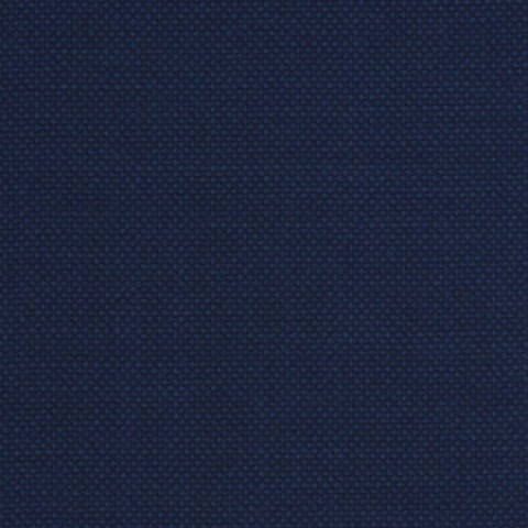 Navy Blue Bird eyes Pants